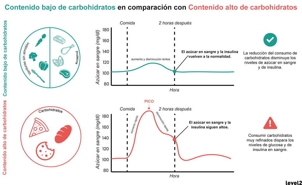 graphic showing how a plate of low carb foods keeps glucose lower